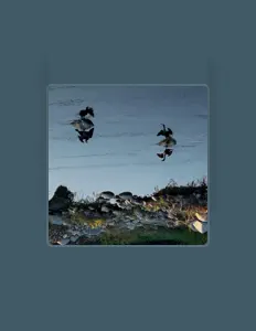 How To Draw Birds dinle, müzik videolarını izle, biyografisini oku, tur tarihlerini ve daha fazlasını gör!