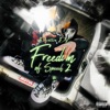 Freedom of Speech 2 Freestyle - Single