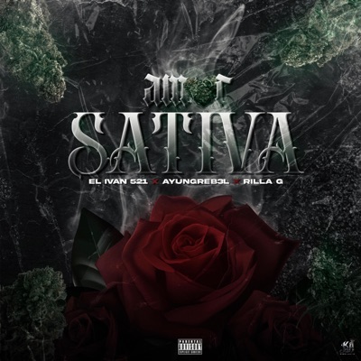 Amor Sativa (feat. EL IVAN 521 & RILLA G) - Single