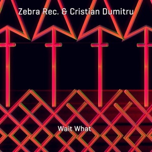 Wait What - Single