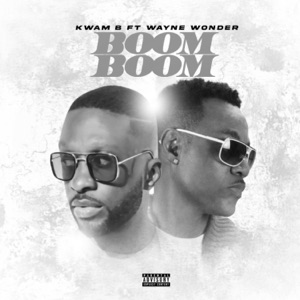 Boom Boom (feat. Wayne Wonder) - Single