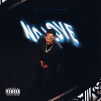 No Love - Single - Tz da Coronel, Ariel Donato & NADAMAL