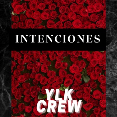 INTENCIONES Crew - Single