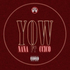 YOW (feat. CCICO) NANA