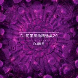 唐伯虎再来点秋香(DJ Version) DJ阿圣 & 于海洋
