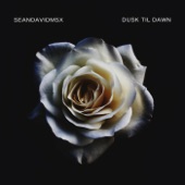 Sean David MSX - Dusk 'Til Dawn