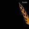 Captain Everything - Crawdad lyrics