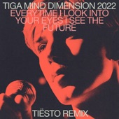 Mind Dimension (Tiësto Remix) artwork