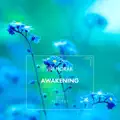 Awakening