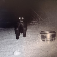 The Spookening - EP - Stoic