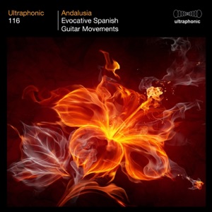 Andalusia (Evocative Spanish Guitar Movements)