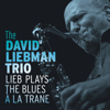 Lieb Plays the Blues À La Trane (feat. Eric Ineke & Marius Beets) - David Liebman Trio & David Liebman