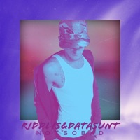 Not So Bad - Single - Riddlis & Data sunt