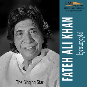 The Singing Sitar - Ustad Fateh Ali Khan (Instrumental)