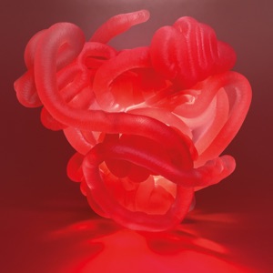 cochlea