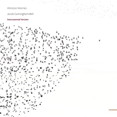 Winston Worries (Instrumental Version) - Single