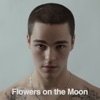 Flowers on the Moon - Single, 2024