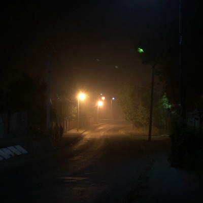 Почему убийцы не любят цветы? - Single