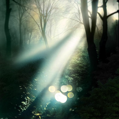 Scars (feat. Yona Marie) - Single