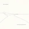 Bing Satellites - Little House by the Ocean