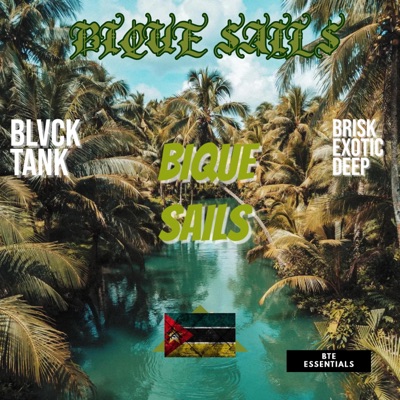 Bique Sails(BS) (feat. BriskExoticDeep) - Single