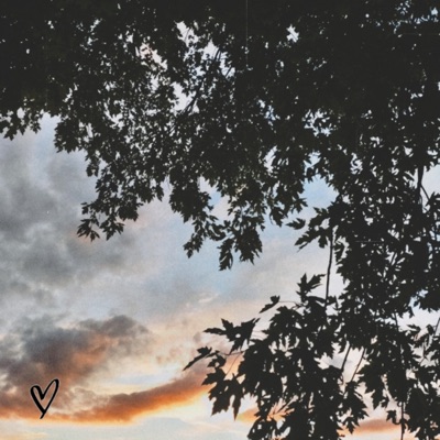 Drisson - Single