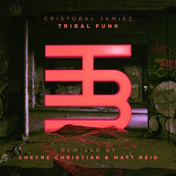 Tribal Funk (Remixes) - Single