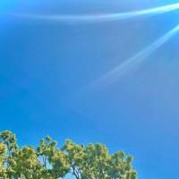 May Ten - Single - Xeal