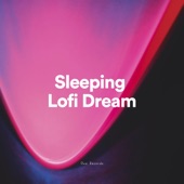 Sleeping Lofi Dream artwork