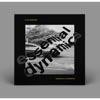 Essential Dynamycs (Kai Alce Remix) cover art