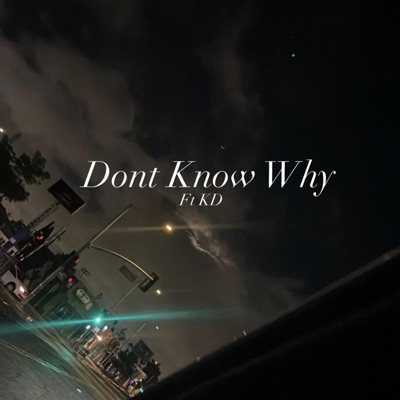 Dont Know Why (feat. Kdgetuchies) - Single