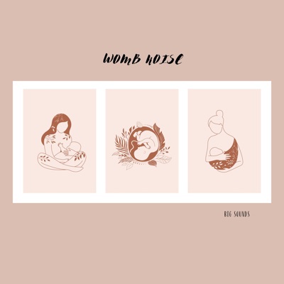 Womb Noise - Single