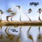 Mirage (feat. Diamondback Kid) - Tommy Brown lyrics