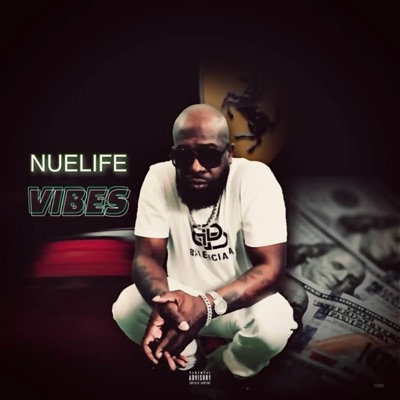 Vibes - Single