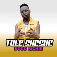 Tule Sheshe (feat. Dogo Richie) - Single - Kaya Records