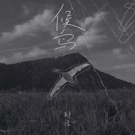 候鸟 (伴奏) 郑浩