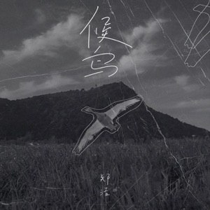 候鸟 - Single