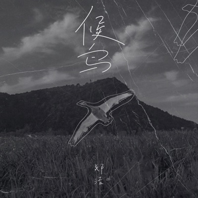 候鸟 - Single