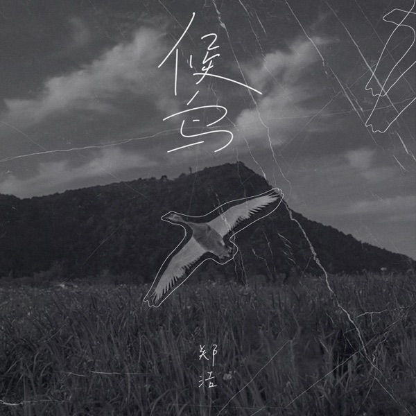 候鸟 - Single