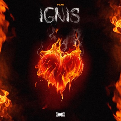 Ignis - Single