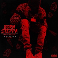 Born Steppa (feat. fl dusa) - Single - Drizzy Thadon