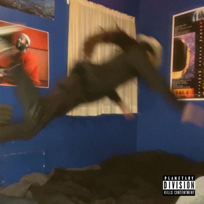 Never Coming Down - Single