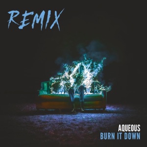Burn It Down (Éclat Remix) - Single