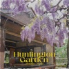 Huntington Garden - Single