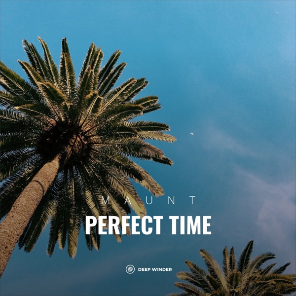 Perfect Time - Single
