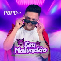 Seu Malvadão - Single - Popó Silva