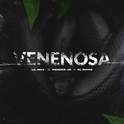 Venenosa - Single