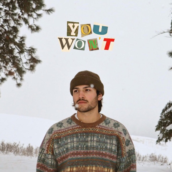 You Won't - Single