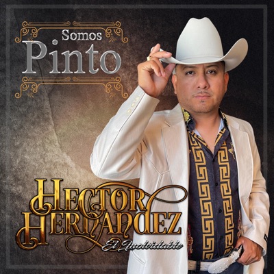 Somos Pinto - Single