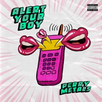 Alert Your Boy - Single - PerryMetals